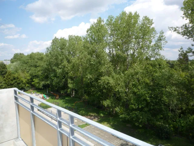 2 Zimmer Wohnung ohne WBS zu vermieten — photo 1